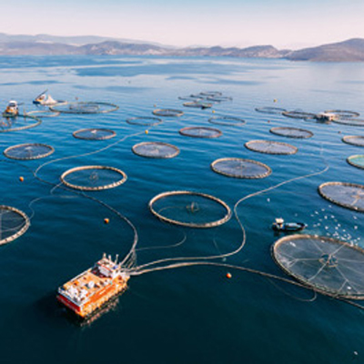 fish farming